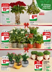 Wesołych Świąt! - Dino