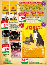 Wesołych Świąt! - Dino