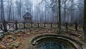 Świętokrzyski Park Narodowy – jeden z 23 parków narodowych na terenie Polski, utworzony w 1950 r.