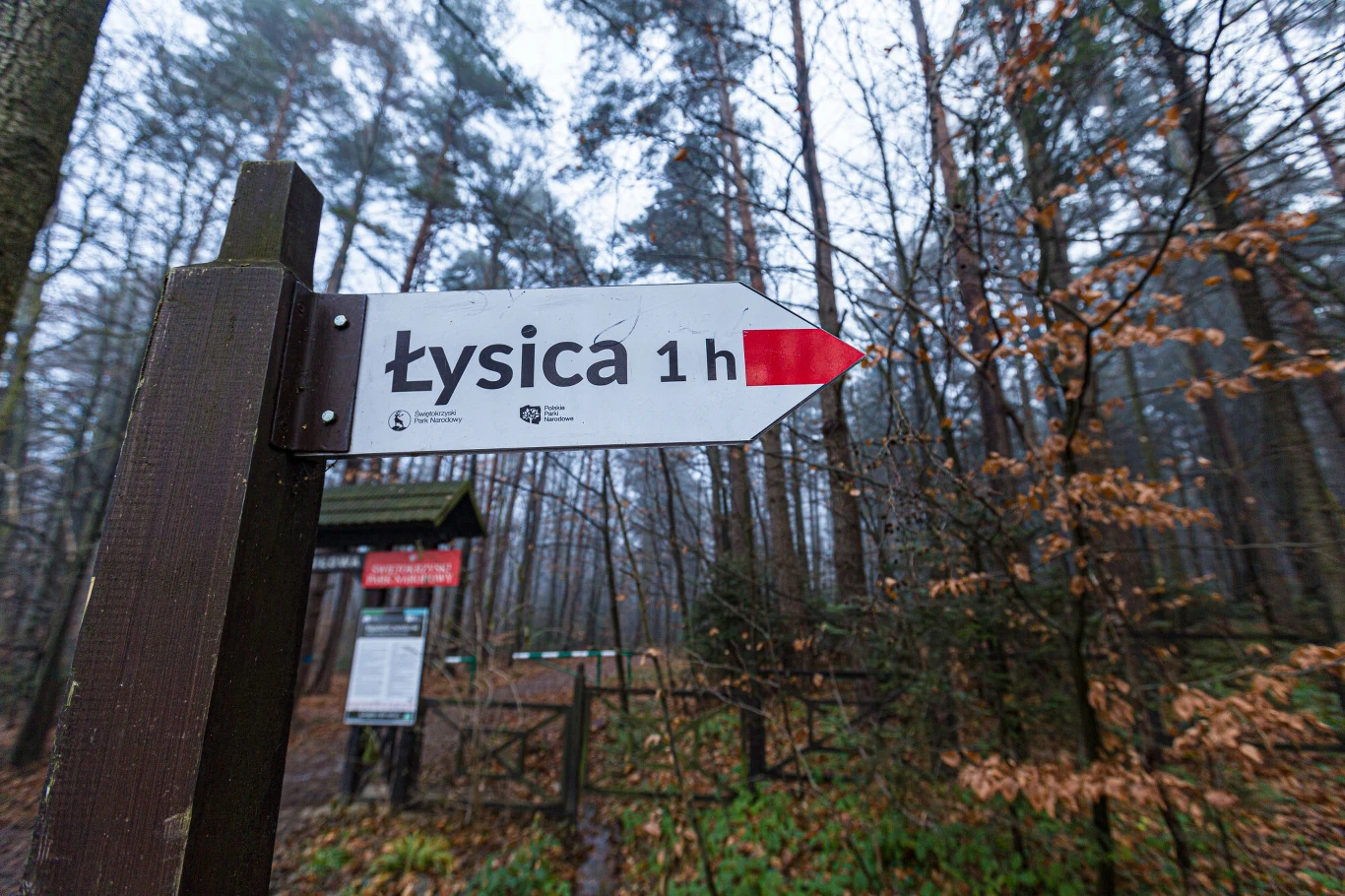 W roku 1920 powstał pierwszy w Górach Świętokrzyskich rezerwat przyrody na Chełmowej Górze. Cztery lata później utworzono kolejne dwa rezerwaty na najwyższych wzniesieniach: Łysicy i Łysej Górze