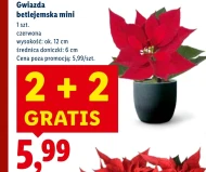 Вифлеємська зірка