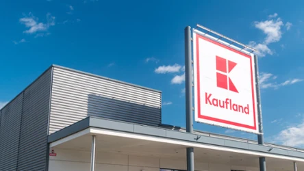 Calvin Klein, Tommy Hilfiger i Pierre Cardin przeceniono na 49,99 zł. Kaufland rusza z promocją