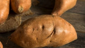 Ma dwa razy więcej błonnika niż ziemniak i mnóstwo wartości odżywczych. Batata możesz jeść, gdy dbasz o linię