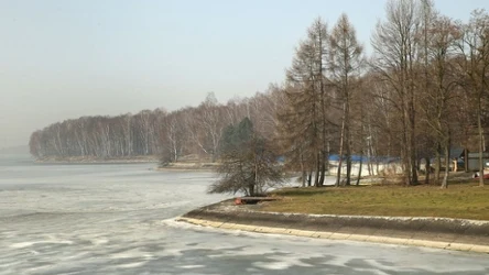 Karp to zagrożenie dla środowiska naturalnego. Dowiedz się, dlaczego 