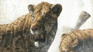 Koty szablozębne wymarły bezpotomnie. Żadne współczesne drapieżniki nie są ich następcami