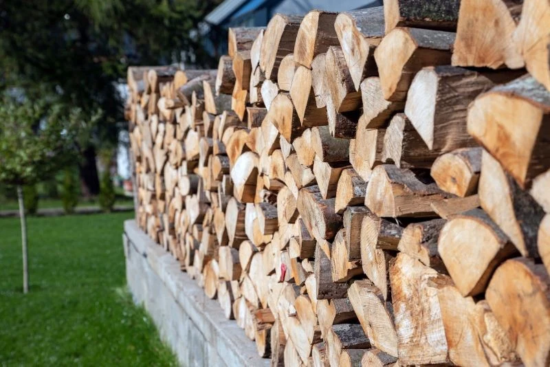 To, jak bardzo drewno strzela w kominku, zależy m