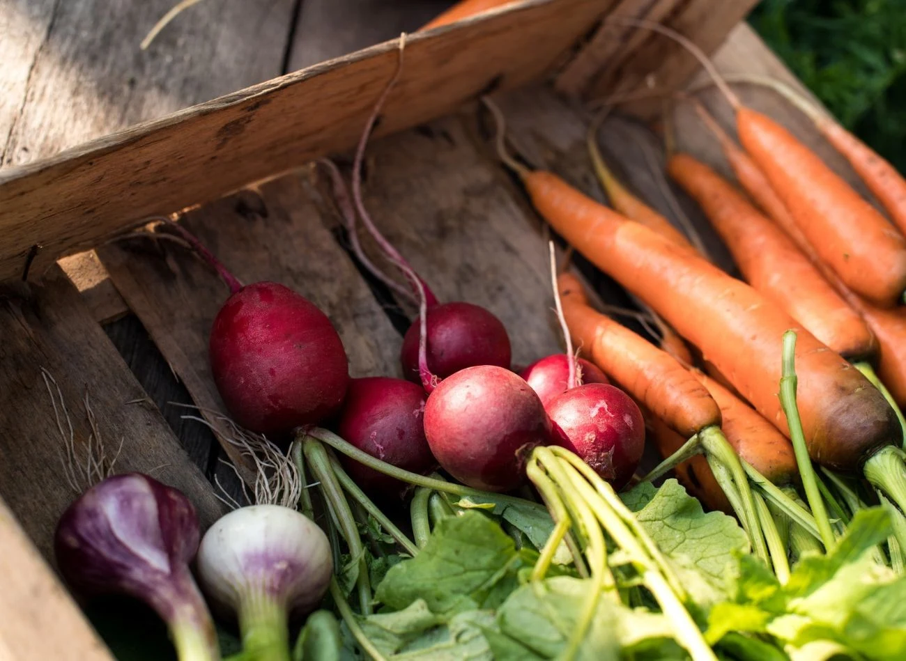 Sposób przechowywania zbiorów zależy od ich gatunku – inaczej należy postępować z warzywami korzeniowymi, cebulowymi i kapustnymi