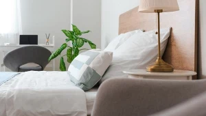 Jak zrobić naturalny oczyszczacz i odświeżacz powietrza do sypialni