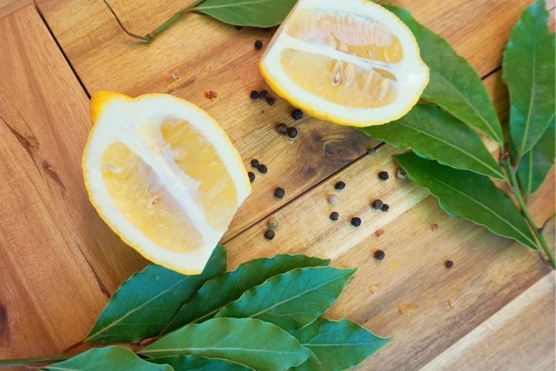 Suszone liście mają wysoko skoncentrowane olejki eteryczne, dzięki czemu ich aromat utrzymuje się dłużej, niż w przypadku świeżych liści.