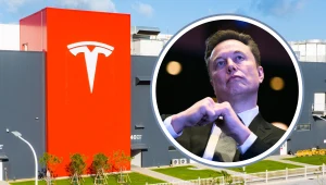 Musk chce zbudować największą fabrykę na świecie. Przy polskiej granicy