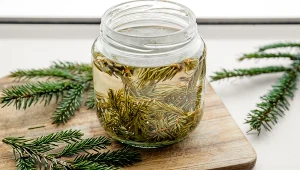 Nie wyrzucaj igieł spod choinki. Włóż je do słoika, zalej octem i poczekaj