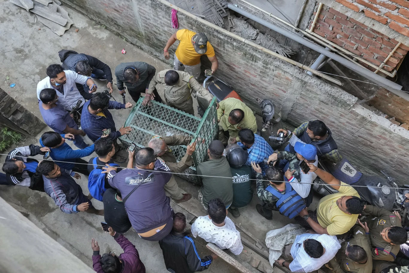 Lampart schwytany przez ludzi w Indiach. W tym kraju często dochodzi do konfliktów z kotami Grupa mężczyzn otacza metalową klatkę w wąskiej uliczce, niektórzy w mundurach lub odblaskowych kamizelkach, kilku z nich trzyma telefon lub aparat fotograficzny, całość ustawiona ciasno w przestrzeni betonowych ścian.