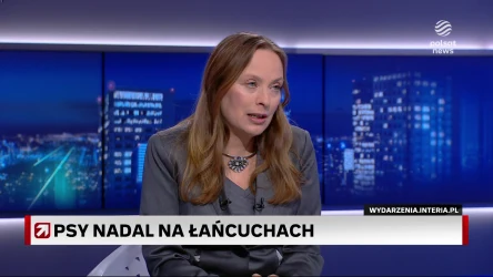 Głosowanie nad wetem do ustawy łańcuchowej. Pełczyńska-Nałęcz w ''Gościu Wydarzeń'': To jest smutne, to jest okrucieństwo