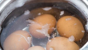 Jajka nigdy nie obierały się łatwiej. Wystarczy wrzucić to do garnka