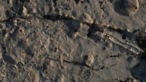 Znaleźli odciski prehistorycznych olbrzymów. Pierwsze takie odkrycie