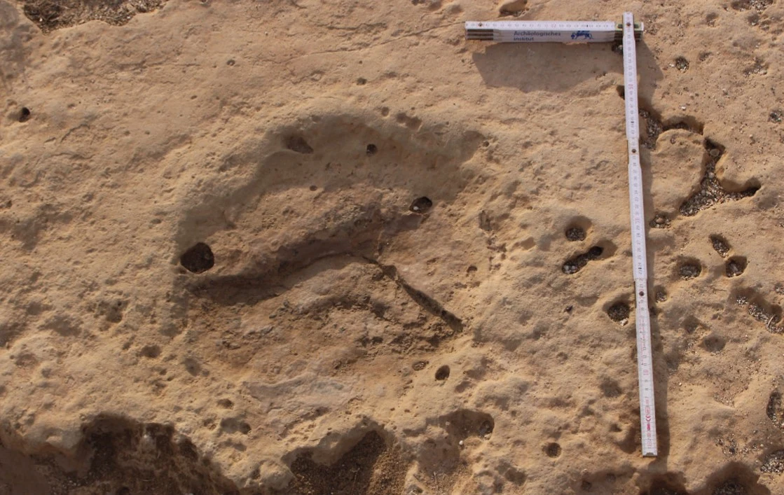 Odcisk dużej stopy w skale otoczony kilkoma drobnymi wgłębieniami, obok śladu umieszczone są dwie linijki ułożone pod kątem prostym do pomiaru rozmiaru odcisku.