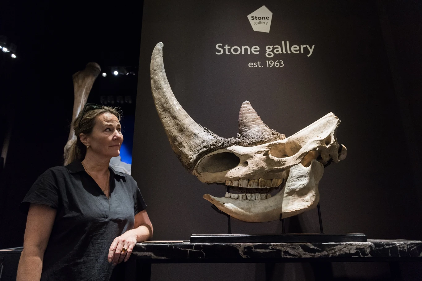 Kobieta stojąca obok dużej czaszki nosorożca z imponującym rogiem, eksponowanej w muzealnej galerii z napisem 'Stone gallery est. 1963'.