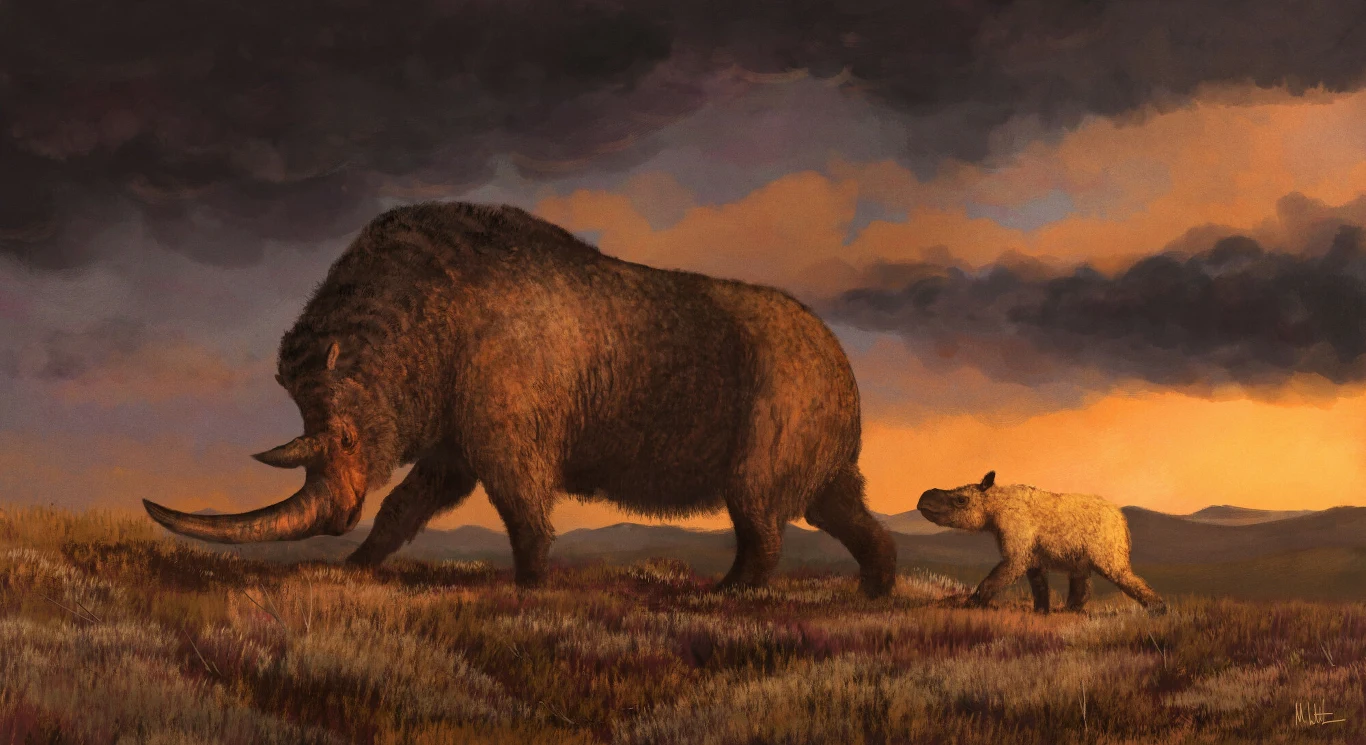 Dwa prehistoryczne zwierzęta, dorosły włochaty nosorożec z dużymi rogami oraz młody osobnik, spacerują po otwartym stepie o zachodzie słońca, w tle rozciągają się góry i dramatyczne chmury.