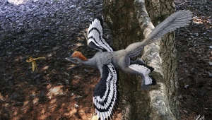 Opierzony stwór wreszcie rozwiązał tajemnicę. Wystarczy się przyjrzeć