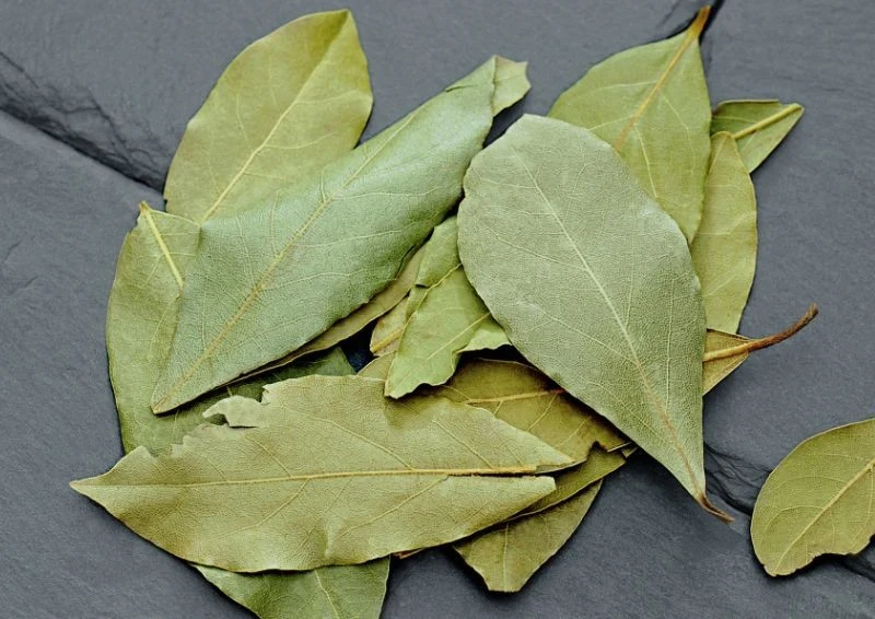 Liście laurowe wydzielają delikatny, naturalny zapach.