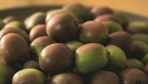 Najlepiej jeść ze skórką. Chronią wątrobę i przyspieszają trawienie