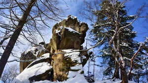 Skalny labirynt niedaleko Krosna. Idealny na zimowy spacer