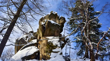 Czy rezerwat Prządki jest przedmiotem ochrony?