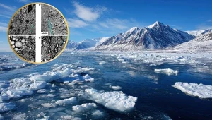 Pod Antarktydą znaleźli coś dziwnego. Tajemnicze jajo zaskoczyło naukowców