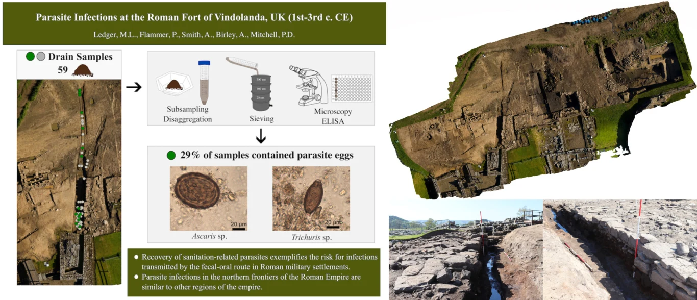 Plansza prezentuje wyniki badań archeologicznych dotyczących infekcji pasożytniczych w rzymskim forcie Vindolanda w Wielkiej Brytanii, uwzględniając schemat pobierania i analizowania próbek oraz zdjęcia mikroskopowe jaj pasożytów wraz z fotografiami st...