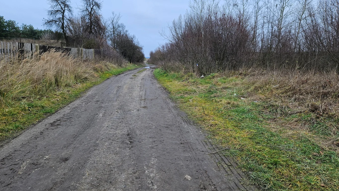Wiejska, nieutwardzona droga między polami i zaroślami, otoczona suchą trawą i drzewami bez liści, prowadząca w kierunku odległego horyzontu.