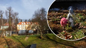 "Stop dezinformacji". Minister dementuje plotkę ws. zabójstwa 11-latki