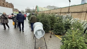 Politycy PiS zorganizowali konferencję prasową, podczas której uderzyli w rząd za wysokie ceny przed świętami.