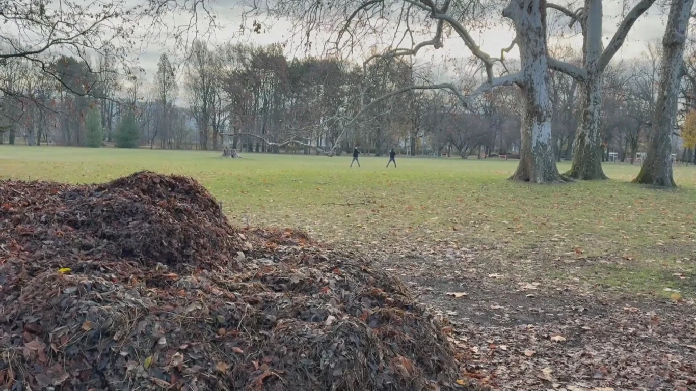 Stos usypanych liści na pierwszym planie w parku, w tle widać trawniki, nagie drzewa i dwie osoby spacerujące po dużej otwartej przestrzeni.