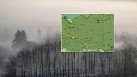 Poranne mgły opanują południowe krańce Polski. Wieczorem i w nocy znowu trzeba będzie na nie uważać w tych rejonach