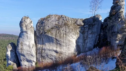 Na Jurze Krakowsko-Częstochowskiej można znaleźć ok. 1700 jaskiń