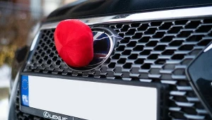 Świąteczne ozdoby na samochód. Czy policjant może nam wystawić mandat?