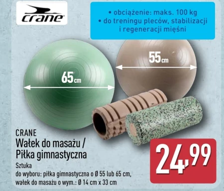 Гімнастичний м'яч Crane