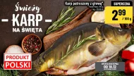 Karp Polski