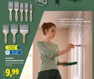 Zestaw pędzli do malowania Parkside