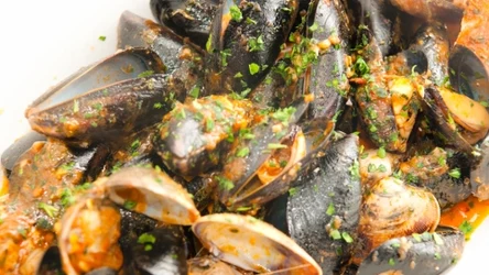 Małże świetnie działają m.in. na pracę mózgu