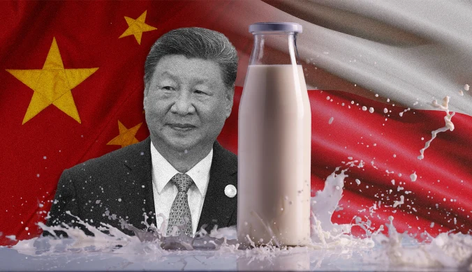 Chiński przywódca Xi Jinping nie miał litości dla polskich mleczarzy. Grafika: Aleksandra Włodarczyk
