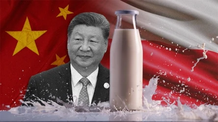 Chiński przywódca Xi Jinping nie miał litości dla polskich mleczarzy. Grafika: Aleksandra Włodarczyk