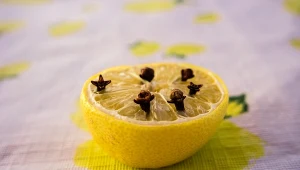 Goździki i cytryna - duet do zadań specjalnych