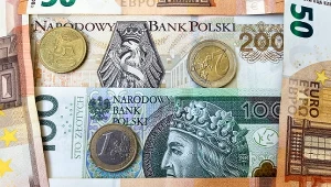Euro pod presją waluty Polaków 