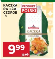 Kaczka Cedrob