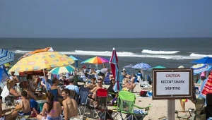 Zaginięcie na rajskiej plaży. Świadkowie mówią o przerażającym widoku