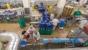 Oferta pracy we Frankfurcie nad Menem w fabryce przy pakowaniu wafli i innych słodyczy wzbudziła ogromne zainteresowanie Polaków (zdj. ilustracyjne)