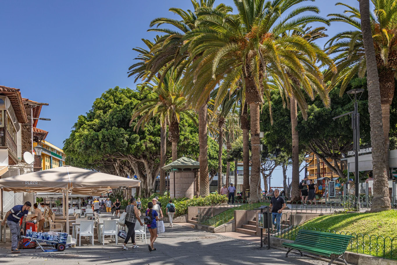 Plac miejski z licznymi palmami oraz ławkami, po lewej stronie ogródek kawiarniany z klientami, w tle spacerujący ludzie w ciepłym, słonecznym klimacie.