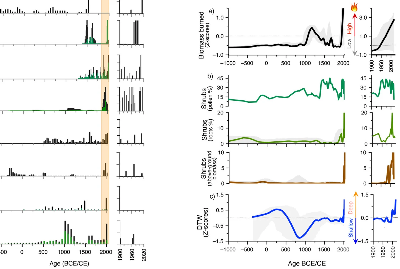 Zestawienie kilku wykresów ilustrujących zmiany w biomasy spalanej, liczbie roślin oraz analizie podobieństw na osi czasu, z wyraźnym wzrostem wartości w ostatnich stuleciach po 1800 roku.