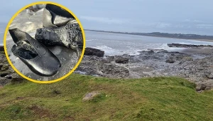 Dziwne znalezisko na plaży. Morze wyrzuciło setki butów z XIX w.